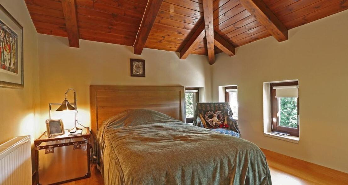 Plethora Arachova Luxury Chalet Kültér fotó