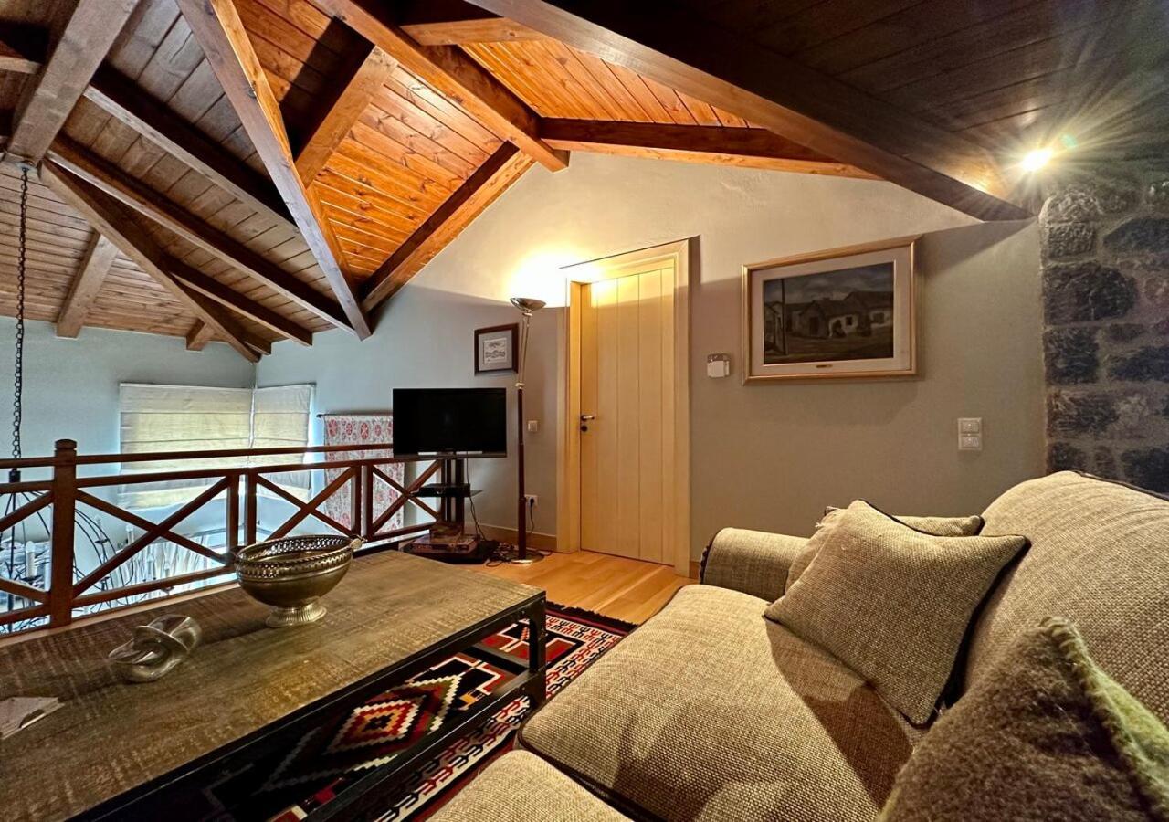 Plethora Arachova Luxury Chalet Kültér fotó